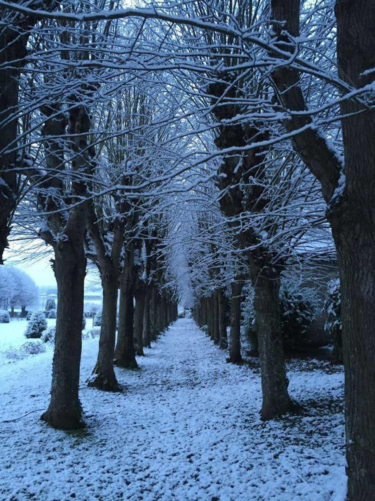 Domaine De Bayeux Ξενοδοχείο Εξωτερικό φωτογραφία